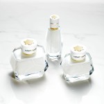 1 - Mont Blanc Signature Eau De Parfum 30 ml